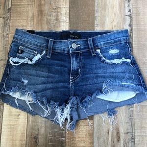 Distressed Shorts